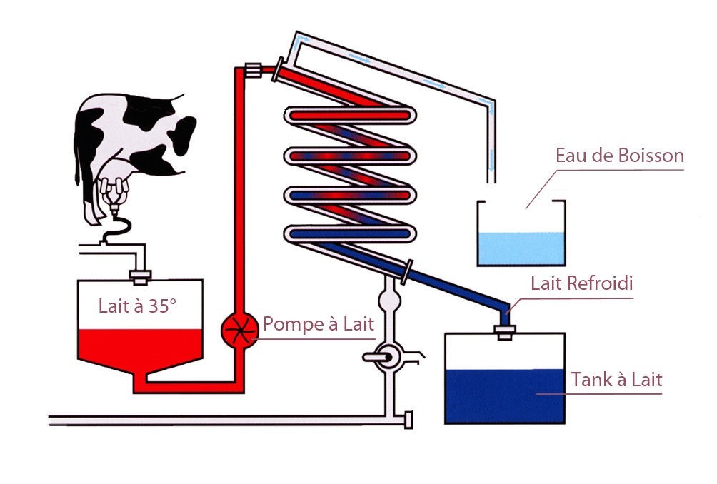 Le Lait Production & Livraison